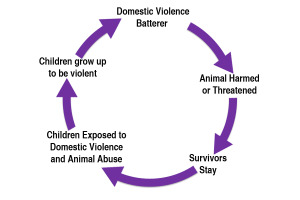 DV - AA Cycle of Abuse