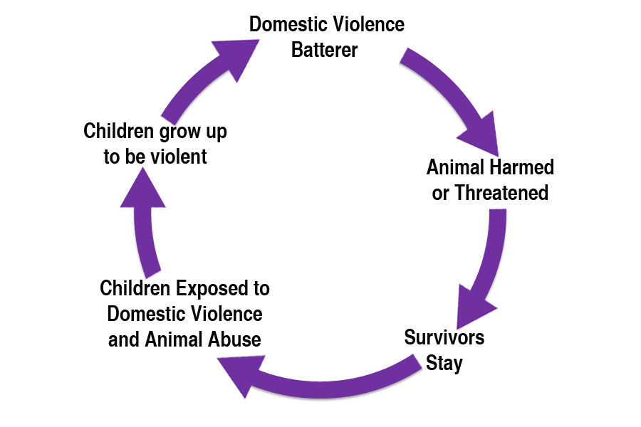 intergenerational cycles of trauma and violence